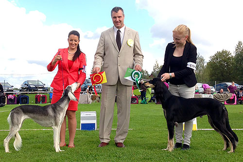 Desierto Belleza Elfina & Aziz Luxor