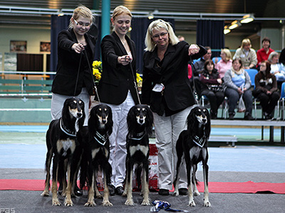 Aziz Breeder's Group