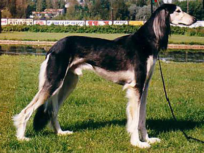 Aramika's Azimut